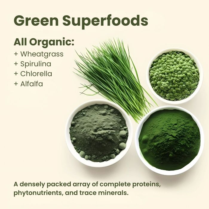 Ascilia™ Spirulina & Chlorella Bundle