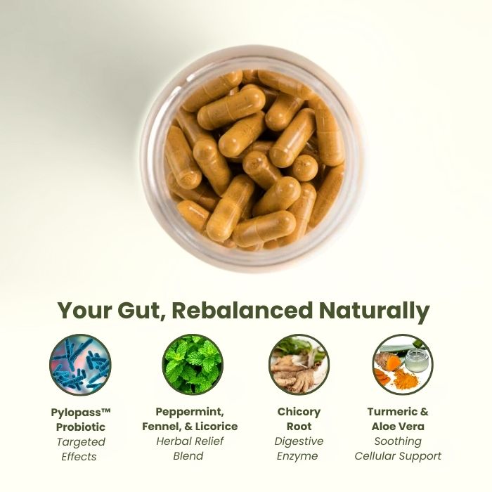 Ascilia™ Spirulina & Chlorella Bundle